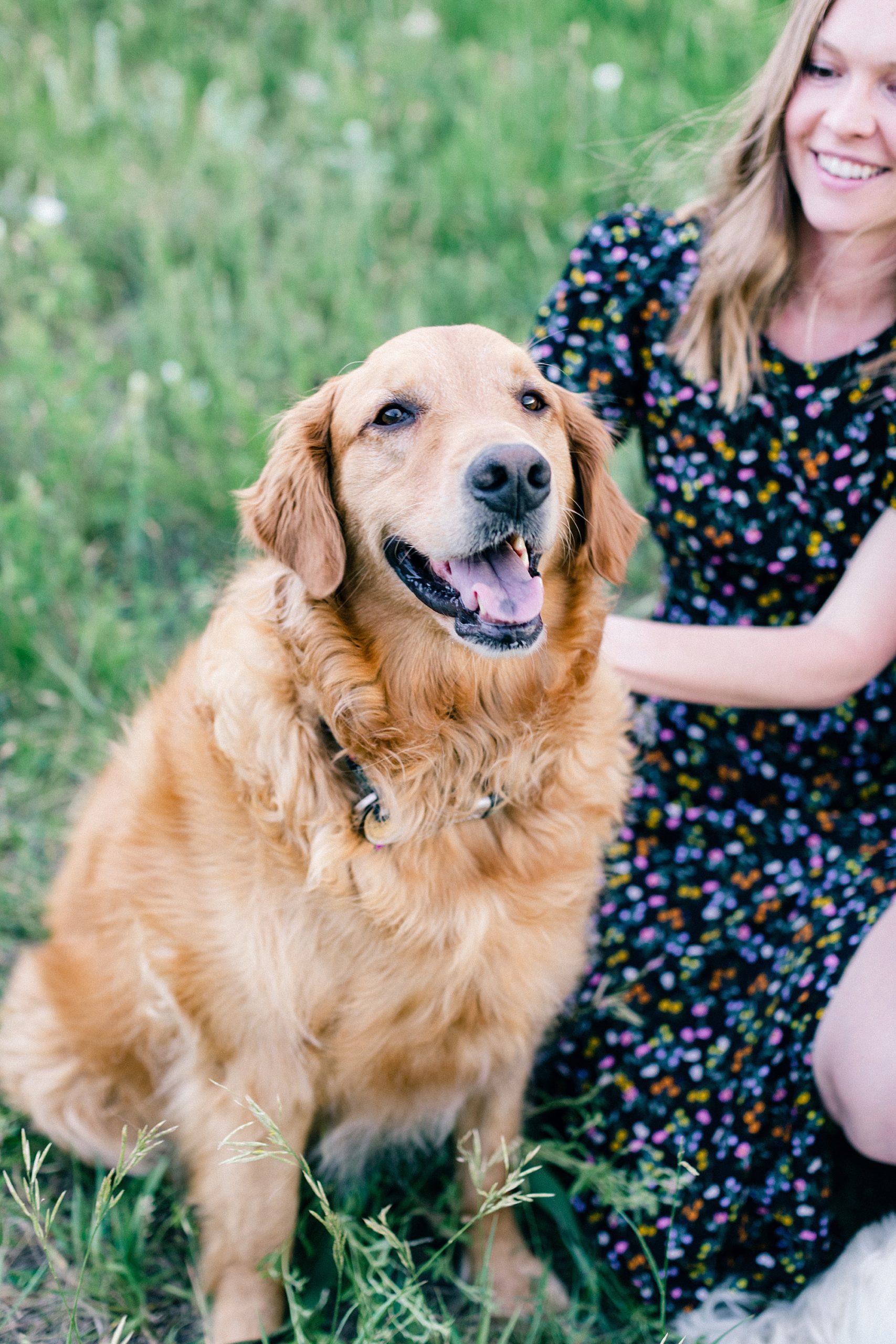 engagement session with dog in Colorado; spring engagement photos; photographer for engagement